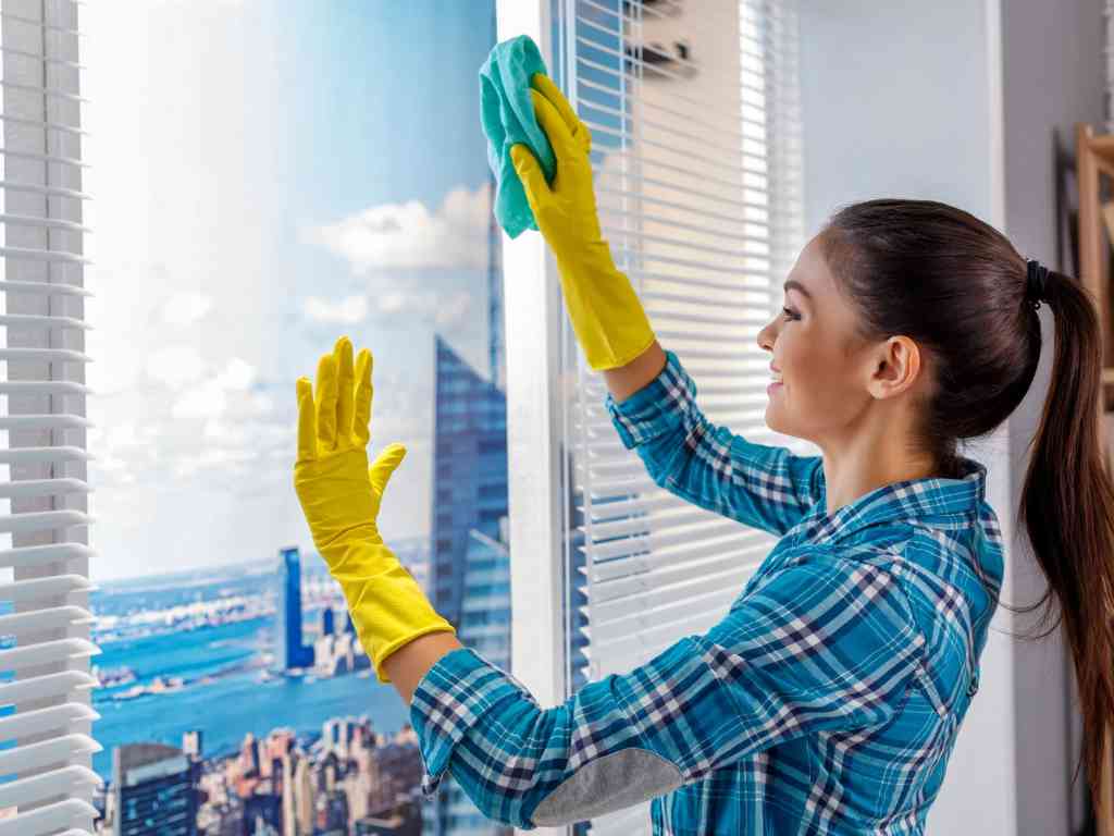 Start a home cleaning business with different services