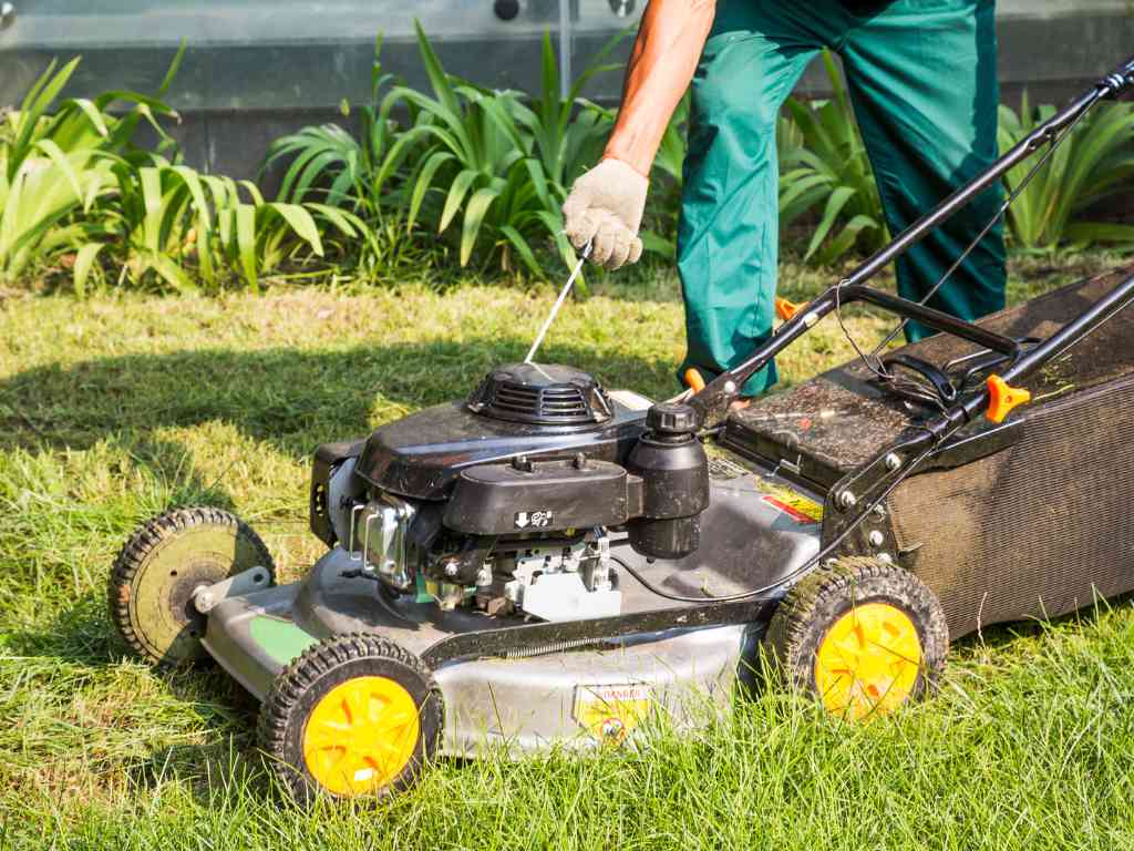 Start a lawn care service