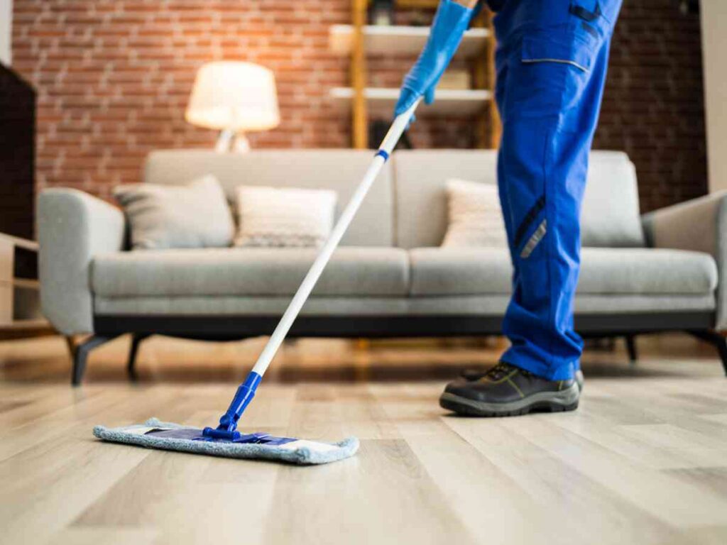 Starting A luxury home cleaning service