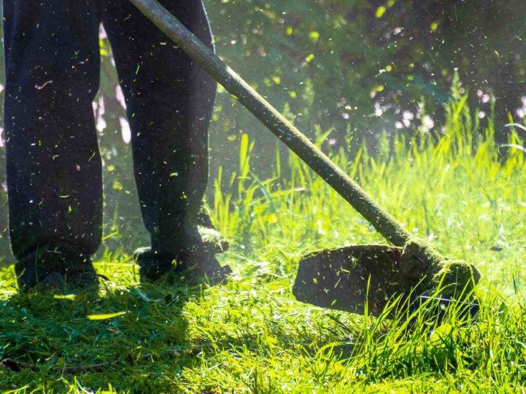 Offer lawn care services to local homeowners